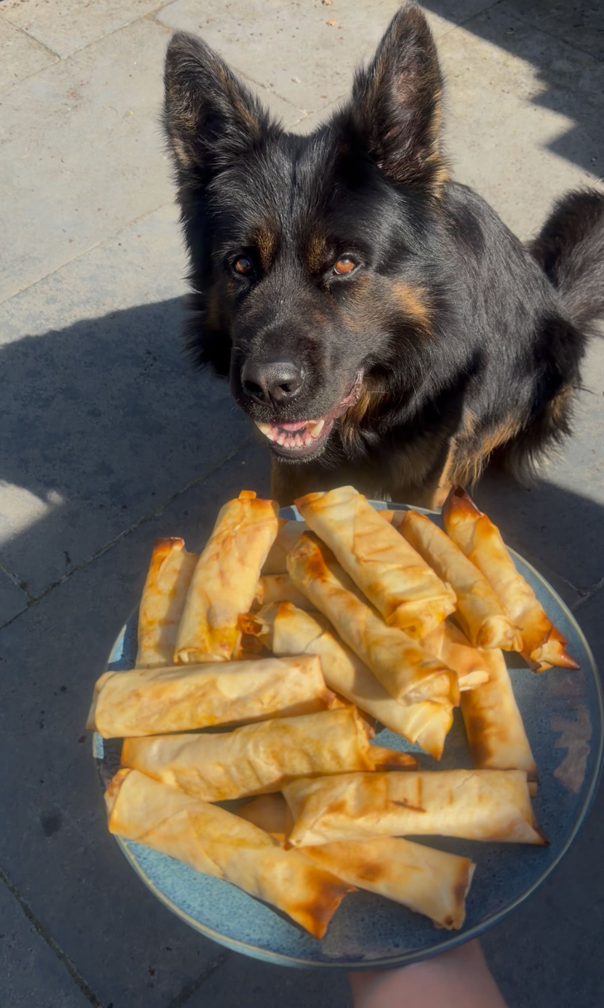 Krokante kiploempia's van de bbq met de keurmeester